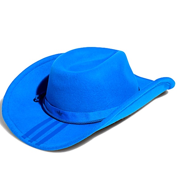 Beautiful One Of A Kind Cowboy Hat 